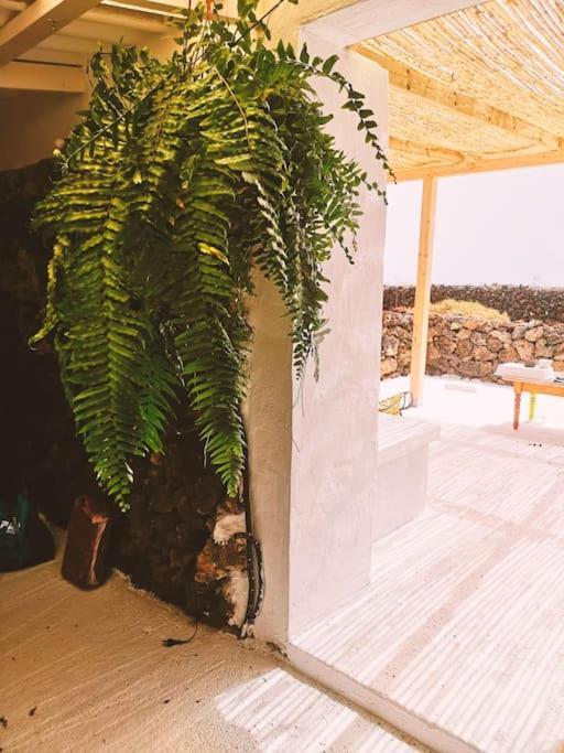 Estudio Con Bano Privado ออร์โซลา ภายนอก รูปภาพ